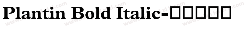 Plantin Bold Italic字体转换